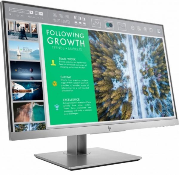 HP EliteDisplay E243 60.45 cm (23.8") Monitor